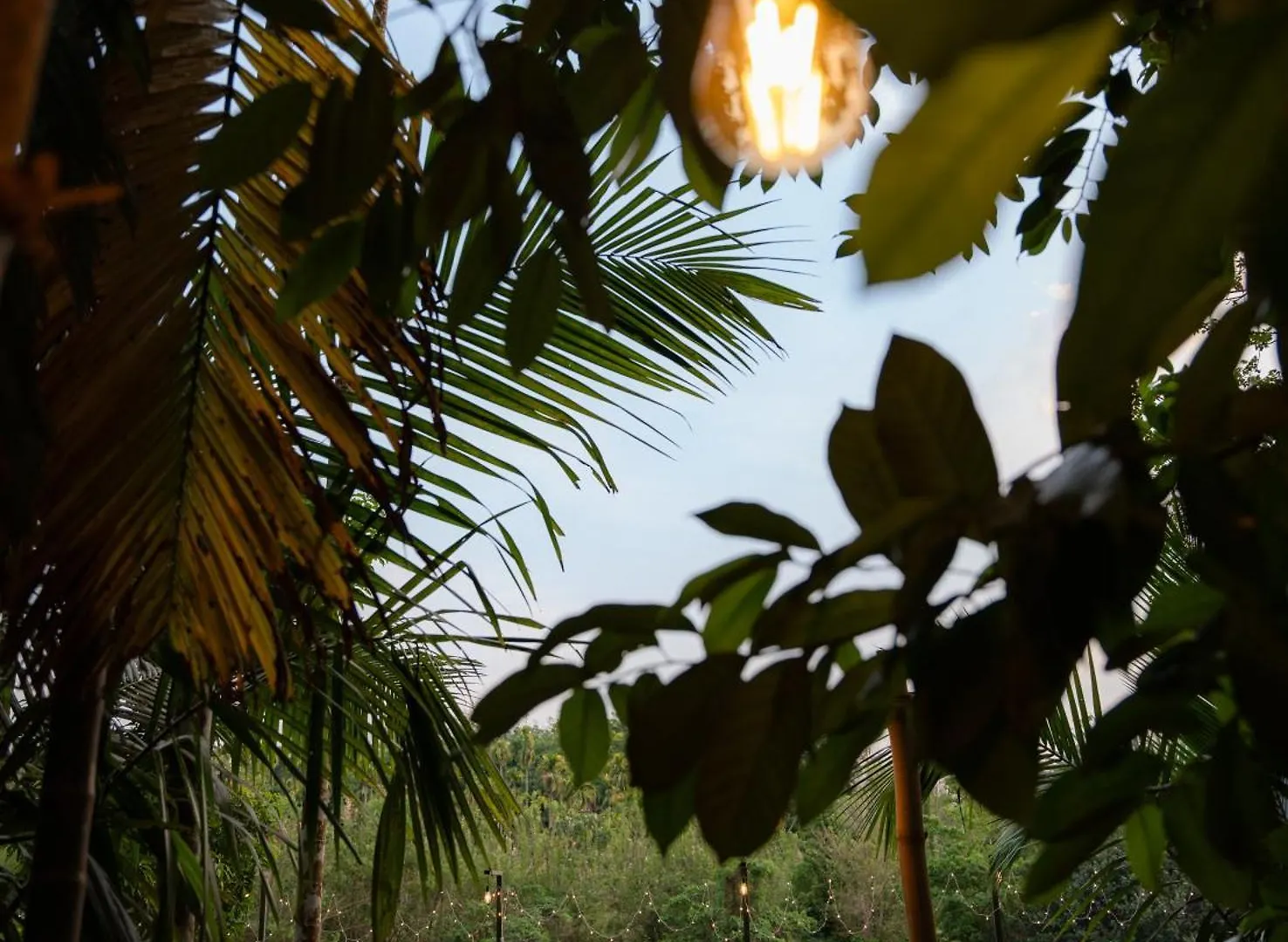 Swasth The Riviera Lovedale Nilambur